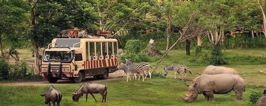 safari park dubai video